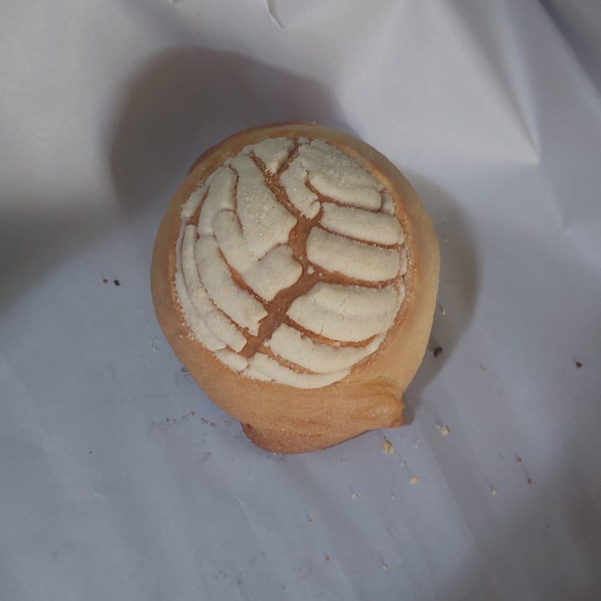 Tapado pasta blanca 