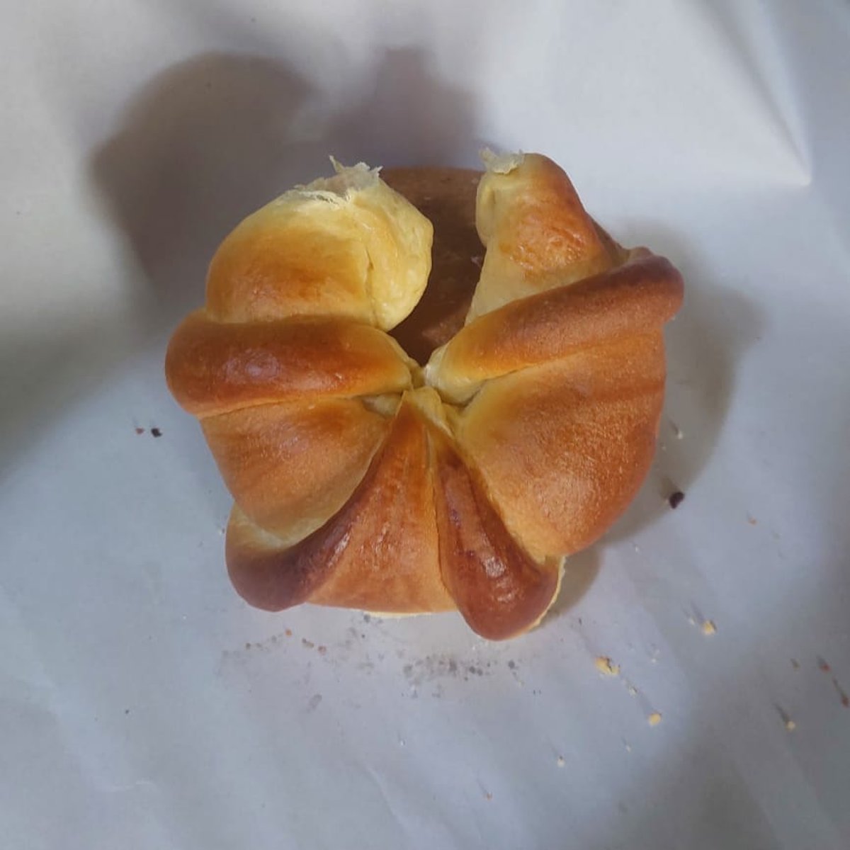 Cuerno sencillo