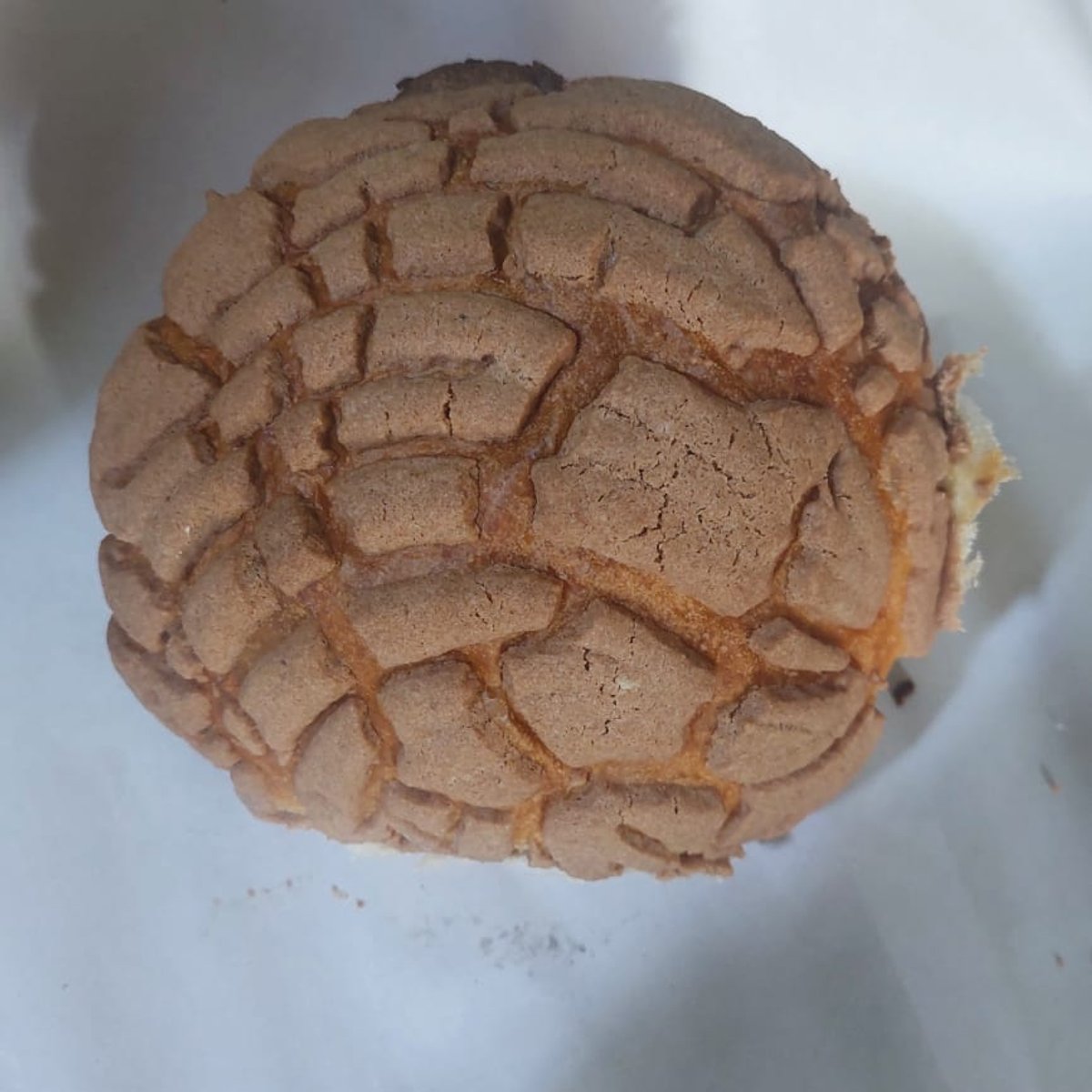 Concha de chocolate 